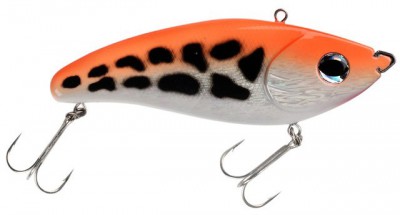 Screamin`Devil color Orange Tiger